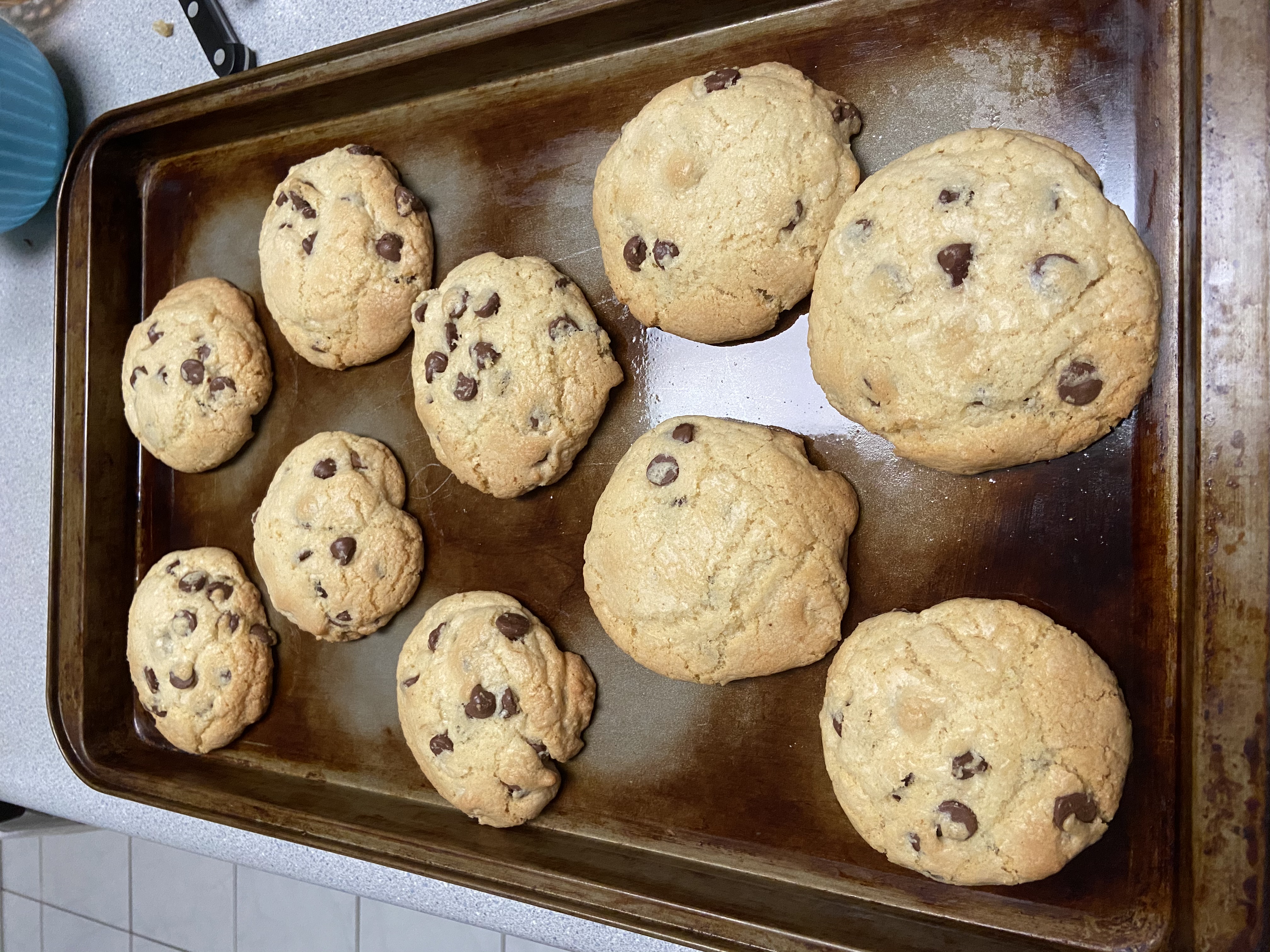 A tray of amazing, chewy, chocolate chip cookies.